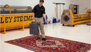 Stanley Steemer area Rug Cleaning Cost oriental Rug Cleaning Stanley Steemer