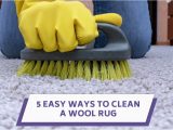 Steam Cleaning Wool area Rugs 5 Easy Ways to Clean A Wool Rug Wool Rug Cleaning