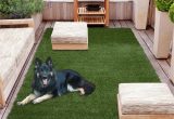 Sweet Home Meadowland Artificial Grass Indoor Outdoor area Rug Sweethome Meadowland Collection Indoor/outdoor Artificial Grass Rug, (4′ X 7′) (2′ X 5′)