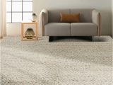 Thick Pile Wool area Rugs Calvin Klein Wool area Rug, Cloud Costco