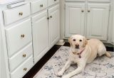 Washable area Rugs for Pets Pet Friendly Rugs In 2020