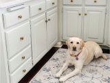 Washable area Rugs for Pets Pet Friendly Rugs In 2020