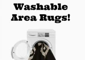 Washable area Rugs for Pets Want Kids and Pet Friendly Rugs Try Machine Washable area Rugs