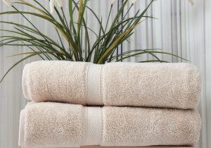 Wayfair Bath towels and Rugs Erford Luxury Turkish Cotton Bath towel