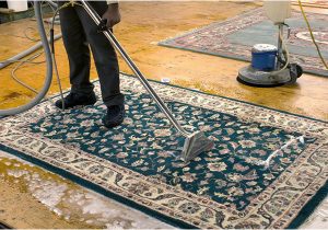 Who Cleans area Rugs In My area area Rug Cleaning Bloomingdale’s Home Cleaning
