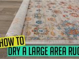 Who Dry Cleans area Rugs How to Dry A Large area Rug [step by Step Guide]