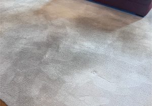 Widmer S area Rug Cleaning Widmer’s Cleaners – Carpet Cleaners Reviews – Cincinnati, Oh Angi