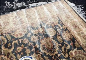 Will Dry Cleaners Clean area Rugs Dry Cleaner that Cleans area Rugs – Tampa Rug Cleaning