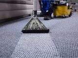 Will Dry Cleaners Clean area Rugs the Ultimate Guide On How to Dry Carpet Fast after Cleaning